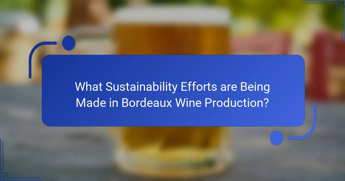 What Sustainability Efforts are Being Made in Bordeaux Wine Production?