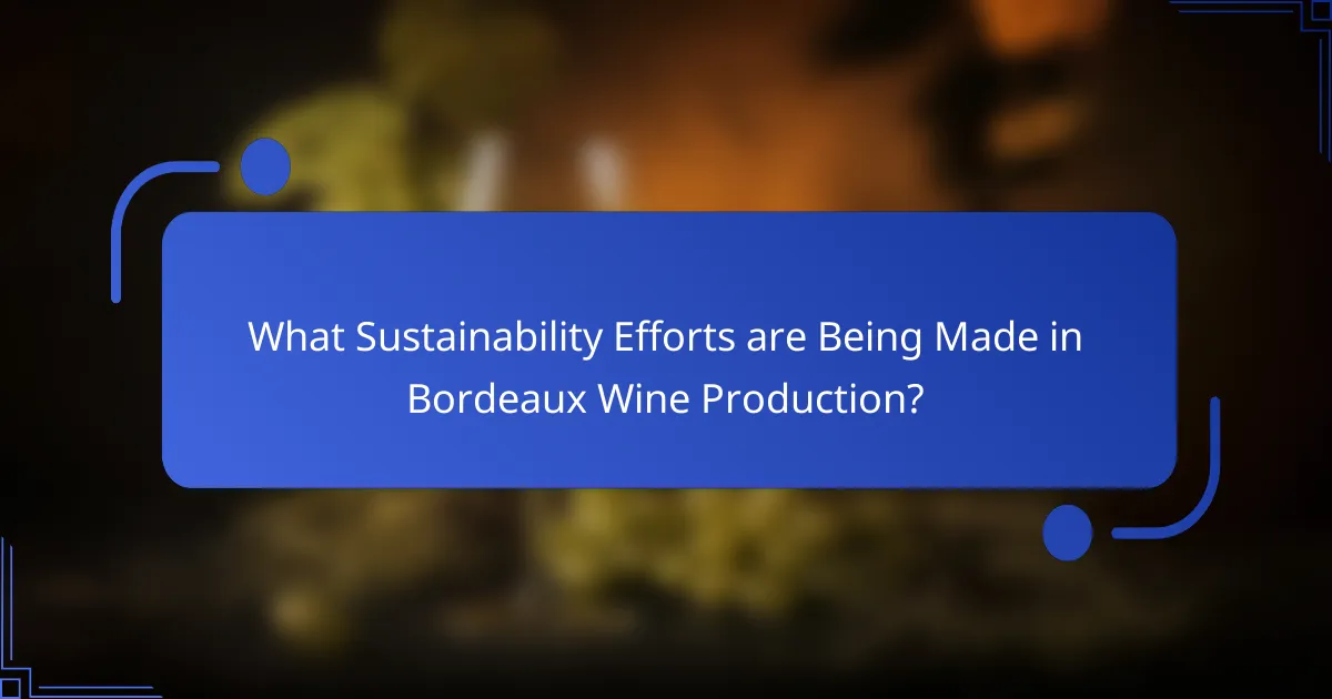 What Sustainability Efforts are Being Made in Bordeaux Wine Production?